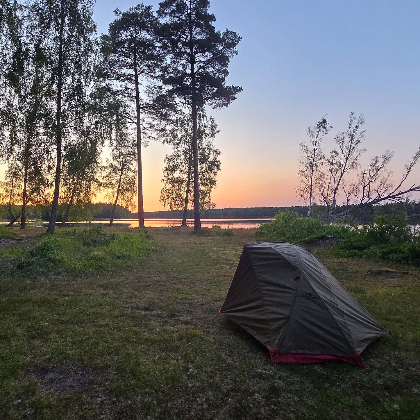 MSR Elixir 1 Personen Zelt mieten -aufgebaut in Schweden